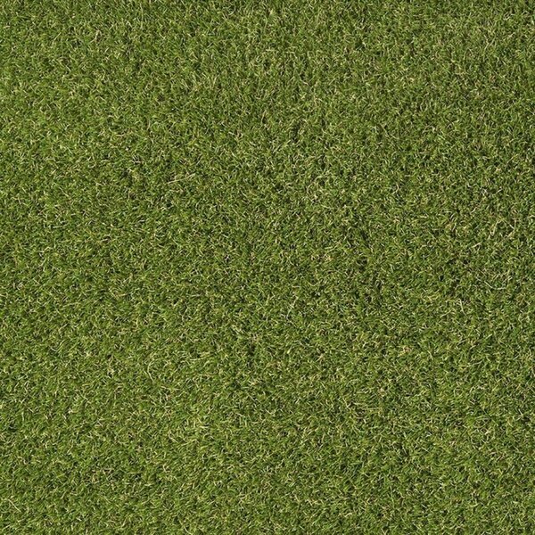 Travní koberec EASY LAWN DAISY šíře 2 m 2 m²
