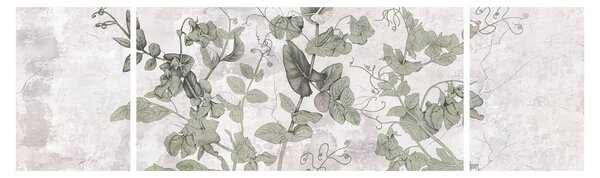 Obraz - Rostliny v omítce (170x50 cm)
