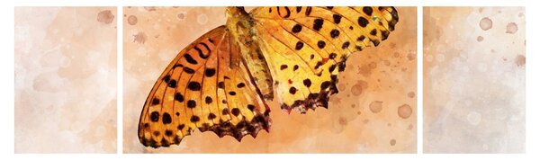 Obraz - Oranžový motýl, aquarel (170x50 cm)