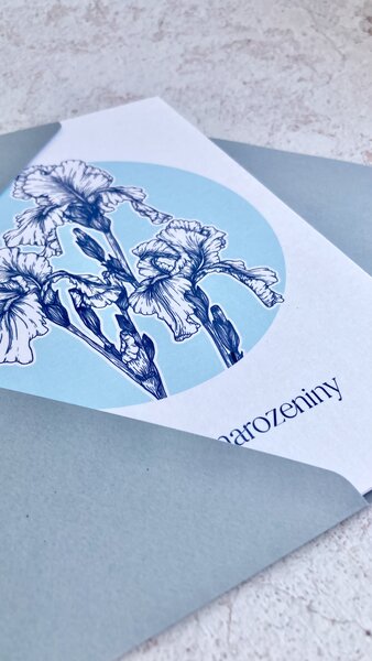 Spring Studio Blahopřání Kosatec