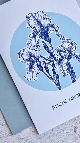 Spring Studio Blahopřání Kosatec