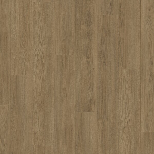 Parador Classic 1050 Dub Mont Blanc brown 1748790 2,493 m²
