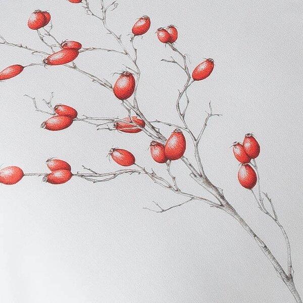 Povlak na polštář Veba GEON tisk Rose hip Velikost: 40x40 cm
