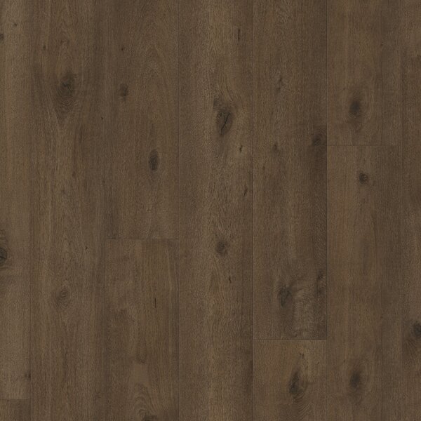 Parador Trendtime 6 – Dub Everglade antique 1748792 2,67 m²