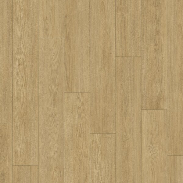 Parador Classic 1050 Dub Mont Blanc natural 1748724 2,493 m²