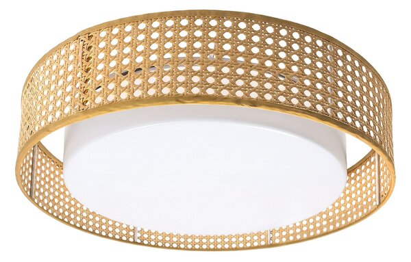 Toolight Toolight, LED stropní svítidlo plafon s ratanovým stínítkem 4000K, APP1934-C, bílá-ratan, 50 cm, OSW-66090