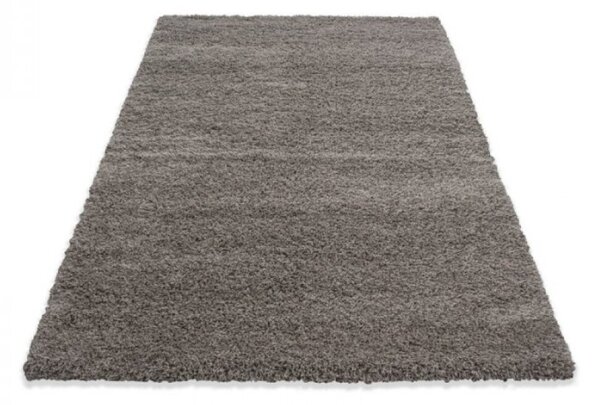 Kusový koberec Dream Shaggy 4000 beige 60 x 110 cm 60 x 110 cm