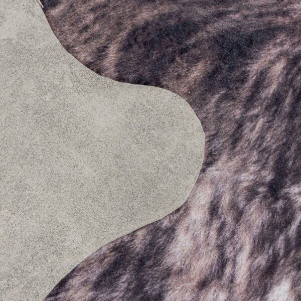 Kusový koberec Etosha 4113 brown 100 x 135 cm 100 x 135 cm