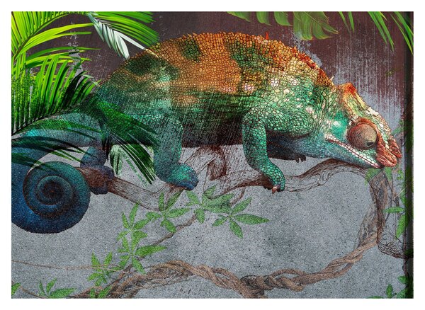 Obraz - Chameleon (70x50 cm)