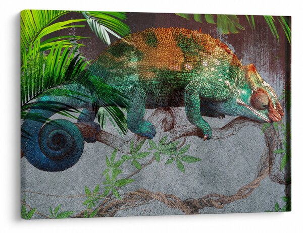 Obraz - Chameleon (70x50 cm)