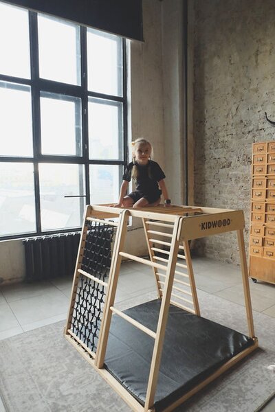 Kidwood Dětské domácí dřevěné hřiště a prolézačka Sailor Black