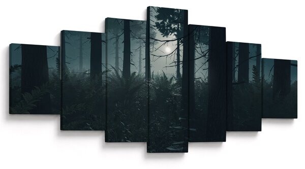 Obraz - Kapradí v měsíčním svitu (210x100 cm)