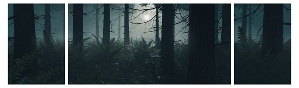 Obraz - Kapradí v měsíčním svitu (170x50 cm)