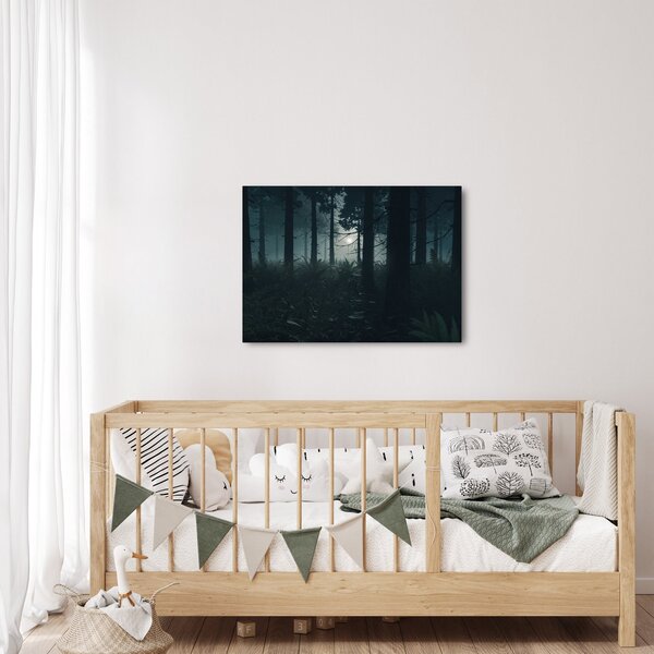 Obraz - Kapradí v měsíčním svitu (70x50 cm)