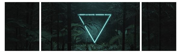 Obraz - Neonový trojúhelník v jungli (170x50 cm)