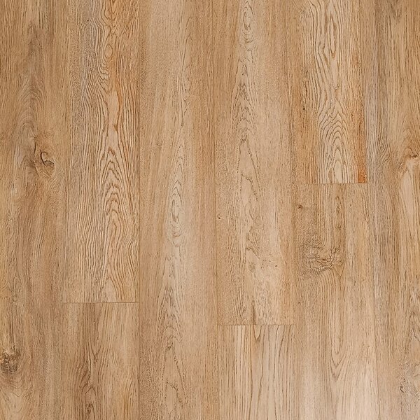 Nero SPC DV 26305 Dub Americký 2,2568 m²