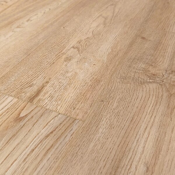 Nero SPC DV 26305 Dub Americký 2,2568 m²