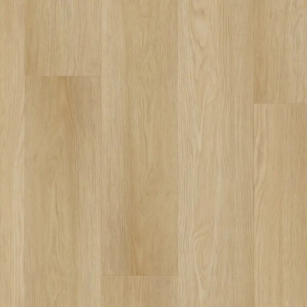 Thermofix PRO Wood 14111-2 Habr bílý 4,32 m²