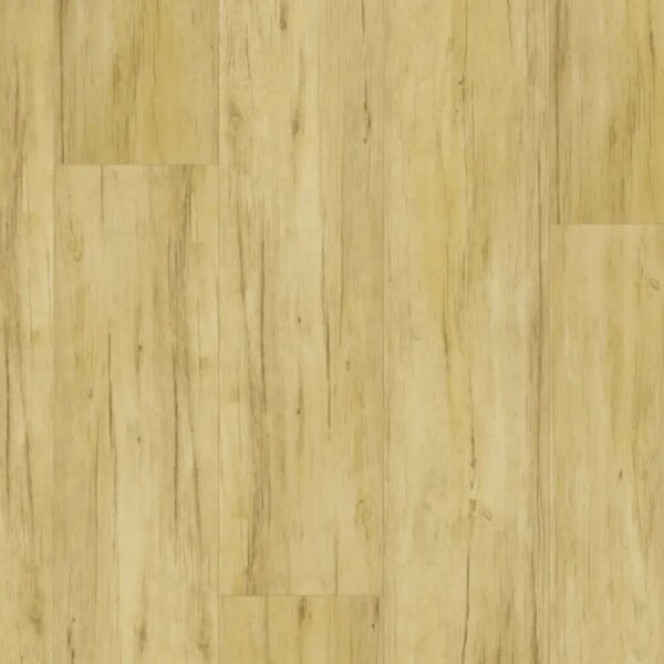 Thermofix PRO Wood 14173-1 Buk brazilský 4,32 m²