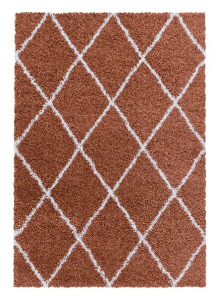Kusový koberec Alvor shaggy 3401 terra 60 x 110 cm-SLEVA 1 KUS 60 x 110 cm-SLEVA 1 KUS