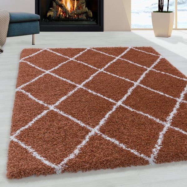 Kusový koberec Alvor shaggy 3401 terra 60 x 110 cm-SLEVA 1 KUS 60 x 110 cm-SLEVA 1 KUS