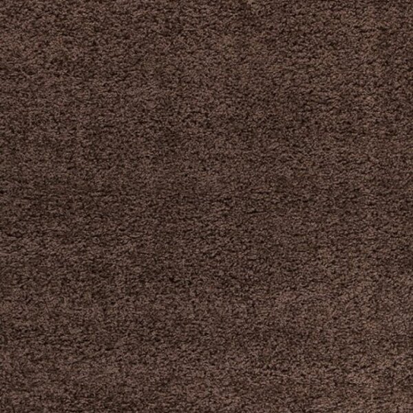 Kusový koberec Dream Shaggy 4000 brown 60 x 110 cm 60 x 110 cm