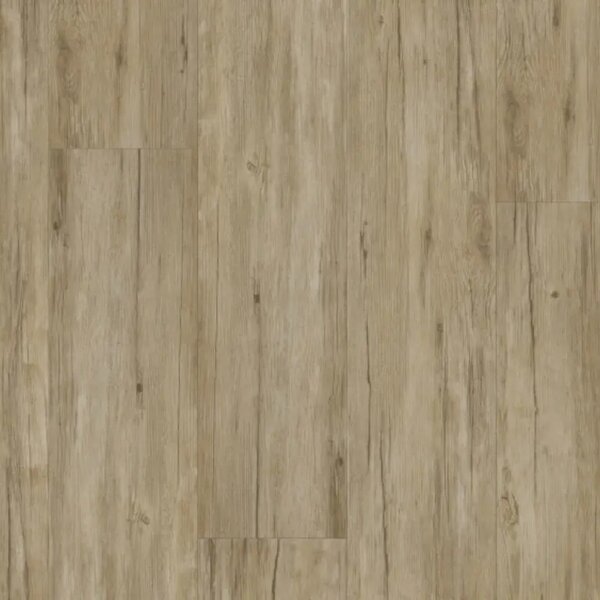 Thermofix PRO Wood 14172-1 Buk templářský 4,32 m²