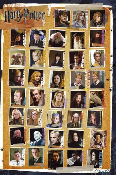Plakát, Obraz - Harry Potter - Postavy, (61 x 91.5 cm)
