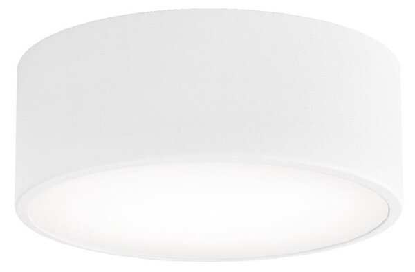Koupelnové stropní svítidlo se senzorem CLEO 1xE27/24W/230V pr. 20 cm IP54 bílá