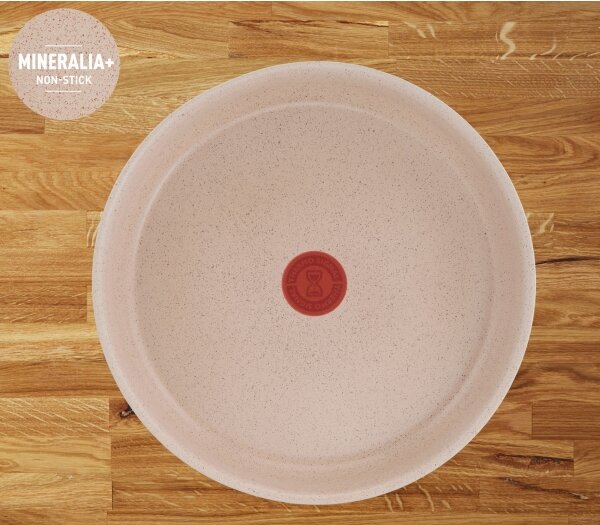 Tefal - Sada nádobí 17 ks INGENIO DELIGHT