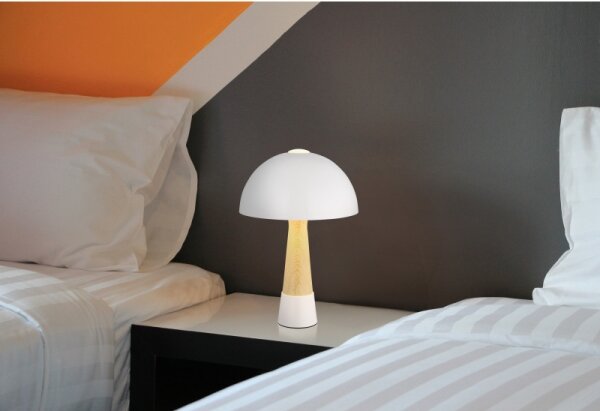 Globo 51570122 - Stolní lampa PAULIN 1xE27ILLU/40W/230V bílá