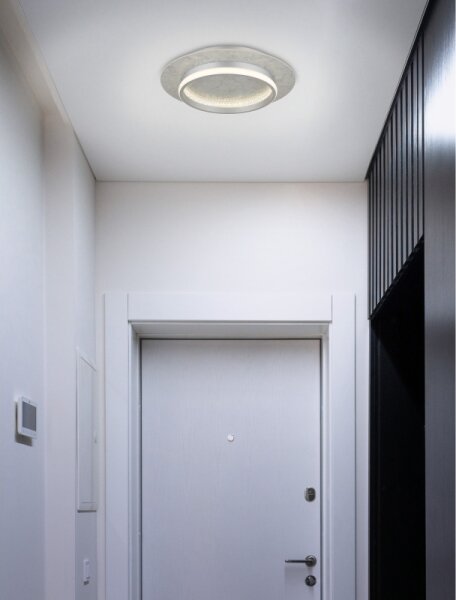 Globo 62000102- LED Stmívatelné stropní svítidlo MARY LED/24W/230V 2700-6500K+DO