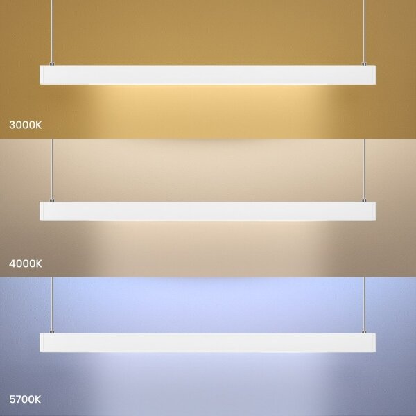 LED Lustr na lanku LINEA LED/36W/230V 3000/4000/5700K CRI 90 bílá