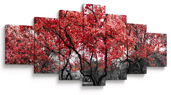 Obraz - Červené stromy, Central Park, New York (210x100 cm)