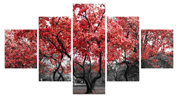 Obraz - Červené stromy, Central Park, New York (125x70 cm)