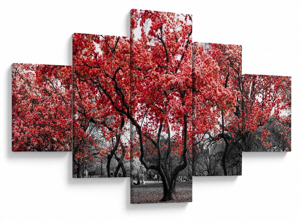 Obraz - Červené stromy, Central Park, New York (125x70 cm)