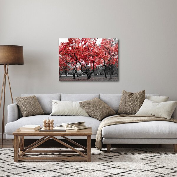 Obraz - Červené stromy, Central Park, New York (70x50 cm)