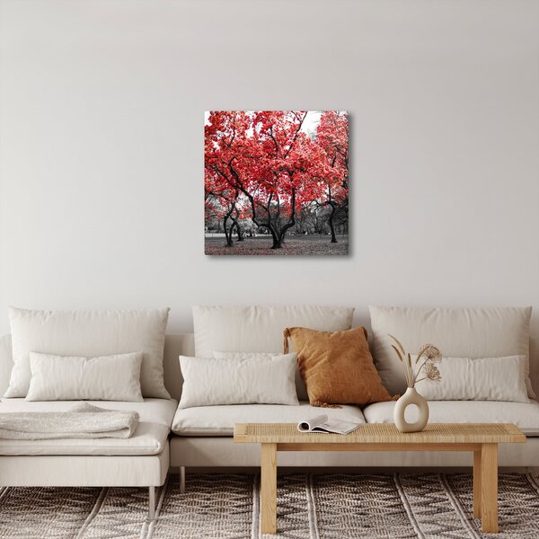 Obraz - Červené stromy, Central Park, New York (30x30 cm)