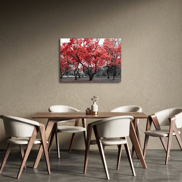 Obraz - Červené stromy, Central Park, New York (70x50 cm)