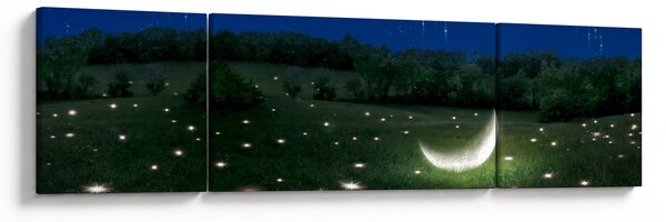 Obraz - Padající nebe (170x50 cm)