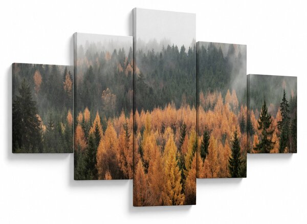 Obraz - Podzimní les (125x70 cm)