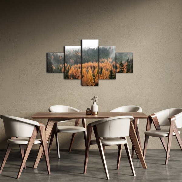 Obraz - Podzimní les (125x70 cm)
