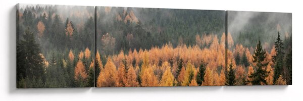 Obraz - Podzimní les (170x50 cm)