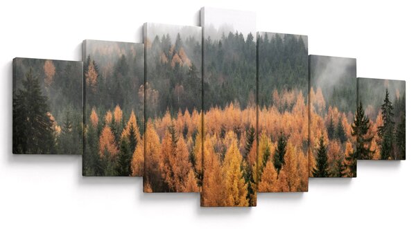 Obraz - Podzimní les (210x100 cm)