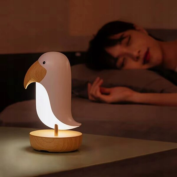 Noční lampa Ecolight růžová