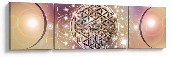 Obraz - Mandala s elementy (170x50 cm)
