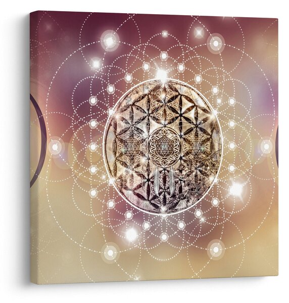 Obraz - Mandala s elementy (30x30 cm)