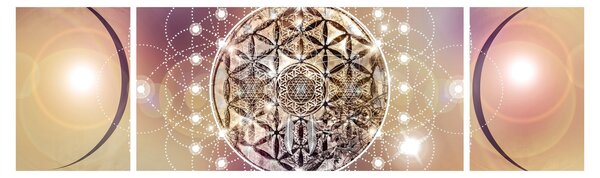 Obraz - Mandala s elementy (170x50 cm)