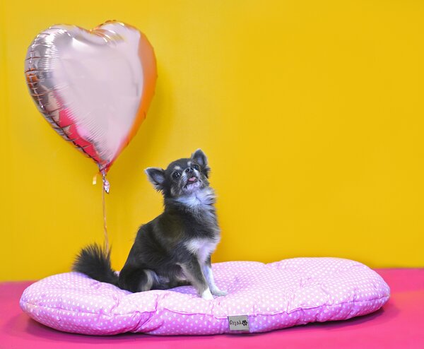 PETSY POLŠTÁŘ Pinky - 80 cm
