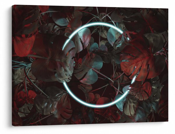 Obraz - Neonový kruh mezi palmami (70x50 cm)